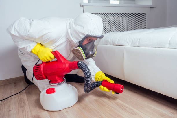 Best Mosquito Control Services  in Princeton, WV