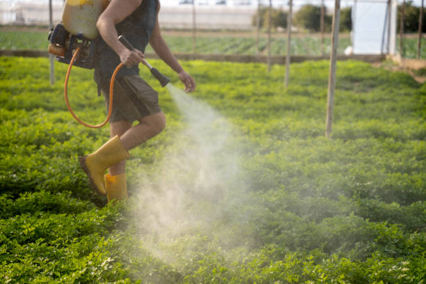 Best Affordable Pest Control Services  in Princeton, WV
