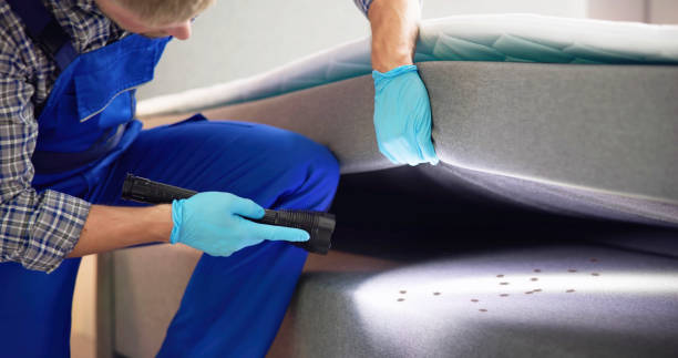Reliable Princeton, WV Pest Control Solutions